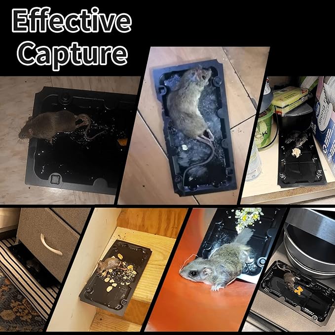 12 Pack Sticky Mouse Trap Rat Traps Indoor, Peanut Taste Pheromone Mouse Traps Indoor for Home, Glue Sticky Traps for Mice and Rats, Snake(Large Size)