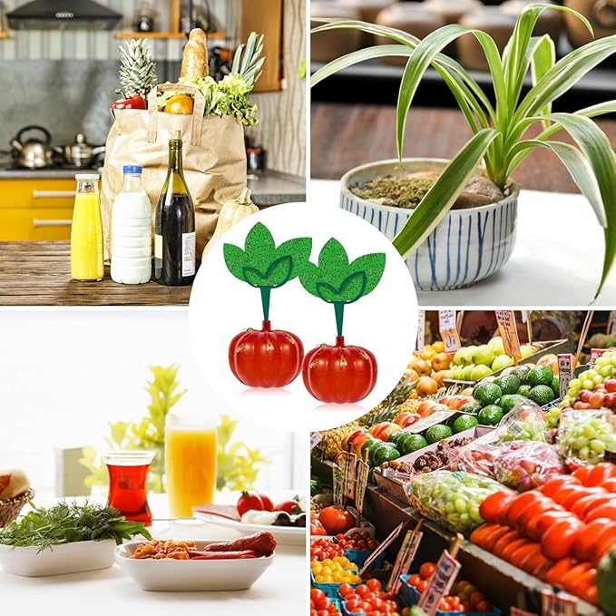 Fruit Fly Traps for Indoors with 8 Sticky Pads, Gnat Trap Killer for Indoor Outdoor, Reusable Gnat Sticky Traps with 1 Fly Bait, Fly Catcher Trap Killer,2 Pack