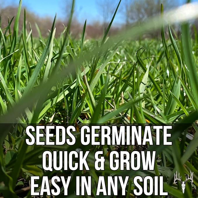 Memas Moo Mix, 50LB Bulk, Farm Pasture Seed Blend for Horse, Cattle, Pig, Goat, Chicken, Duck, Sheep & Livestock, Grow Alfalfa & Perennial Grasses Fields, Graze & Cold Tolerant