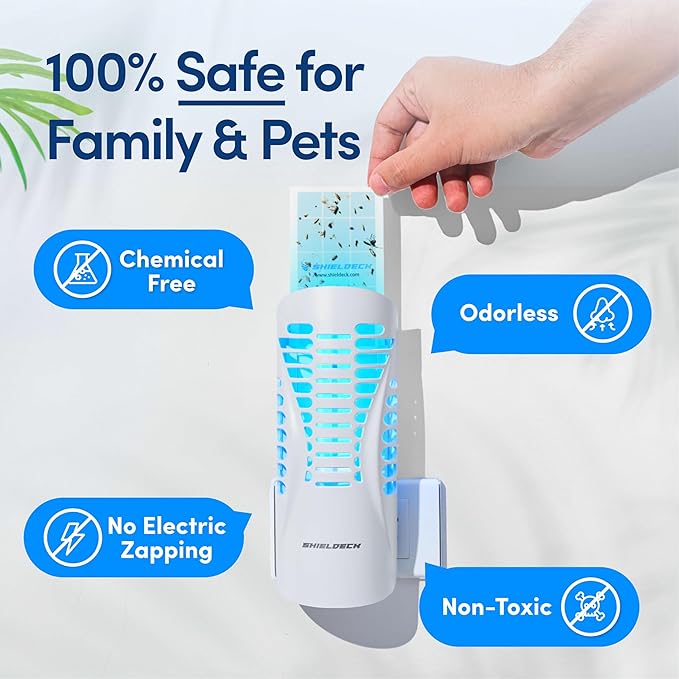 BuzzTrap Refills - 8-Pack Sticky Pads - Indoor Flying Insect Trap - Plug-in Fly, Fruit Fly, Gnat, and Mosquito Trap (8 Refills - No Device)