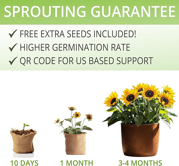 Sunflower Seeds Growing Kit – Complete Seed and Plant Indoor & Outdoor Kit with Sunflower Seeds for Planting, Planter, Soil, Tools, Instructions – Ideal for Planting Sun Flowers at Home