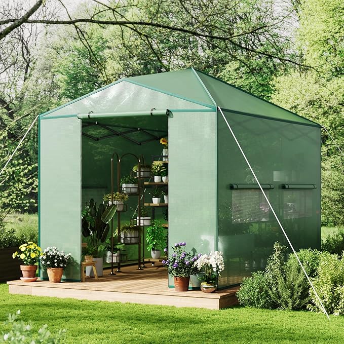 8X12 FT Portable Greenhouse for Outdoor,243 x 365 CM Wall in Pop Up Greenhouse for Gardening Plant, Zipper Roll Up Door & 4 Mesh Window, Double Frame, PE Cover Grow Tent for Winter, Green