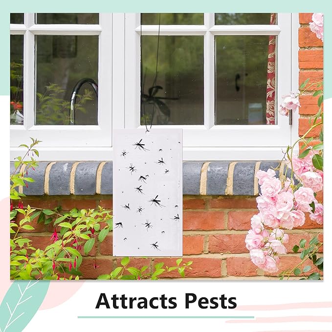 Qualirey 40 Pack Replacement Fly Glue Boards, Compatible with Gardner FlyWeb Fly Classic and Plus Light Trap, Sticky Cards Fly Traps for Indoors, Trap Fruit Flies, Mosquitoes, Gnats