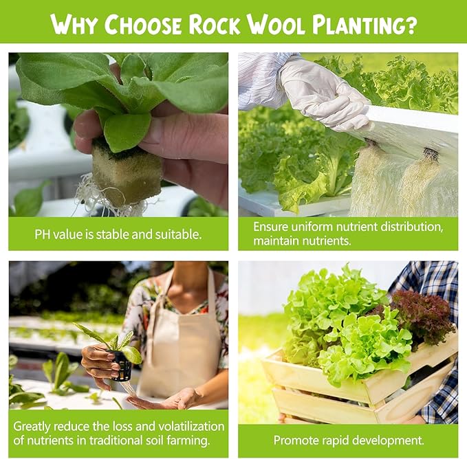 72 Pcs 1.2-Inch Rockwool Cubes with Net Cups and Self-Watering Cord for Hydroponics Great Hydroponic Kit for Cuttings Clone Plant Propagation Seed Starting Soilless Cultivation