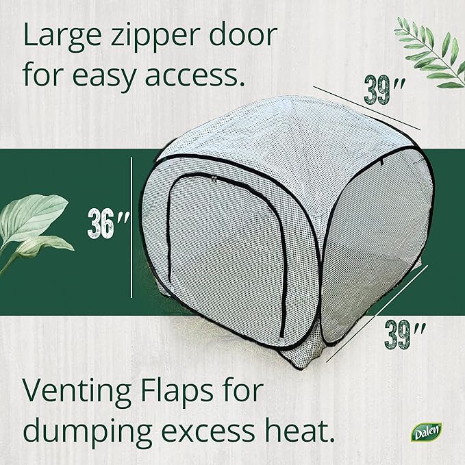 Dalen Pop-Up Mini Greenhouse - Easy Setup and Storage – 39”W x 39" L x 36" H - Special Venting Window to Ensure Breeze