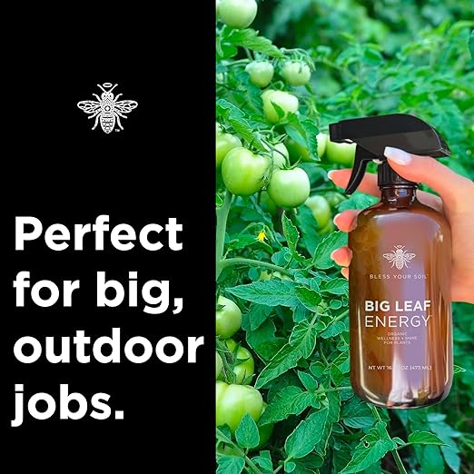 Big Leaf Energy, Neem Oil Concentrate + Essential Oils for Plants and Leaf Care - Organic, Non-GMO, Ready to Mix, Multi-Purpose Leaf Wellness (Makes 32-90 gallons)