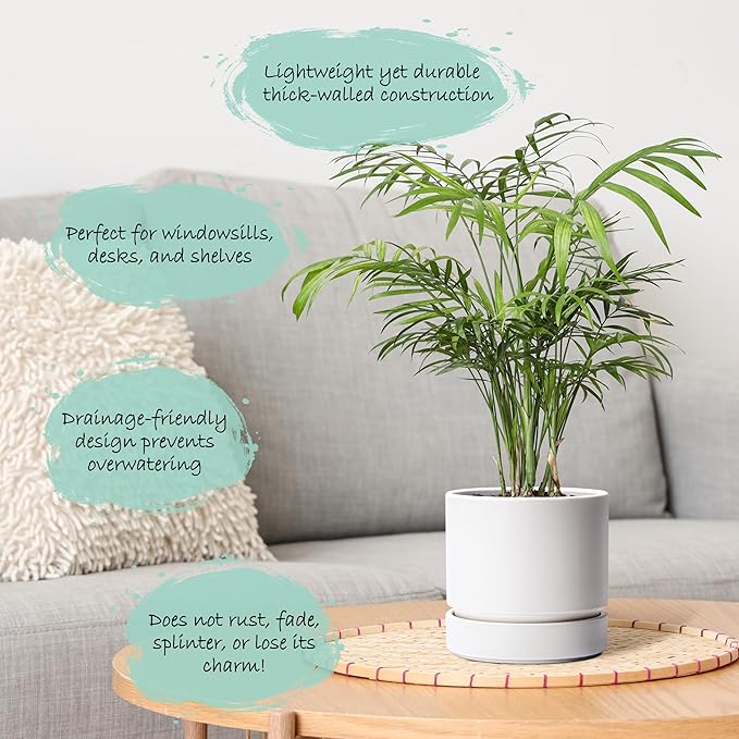 Phoenix Vine 6 Inch Planter Pot with Drainage Hole & Saucer, Deep Water Catch Tray, Straight Cylindrical Round Pot for Plants, Matte White, Pack of 2, 23-B-S-2