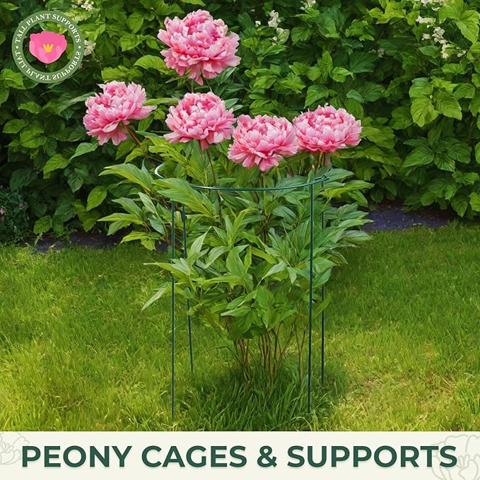 LEOBRO Plant Support, 8 PCS Peony Cages and Supports, Plant Stakes, Plant Supports for Indoor Plants, Outdoor Plants, Monstera Hydrangea Support Cage, 10" W x 24" H