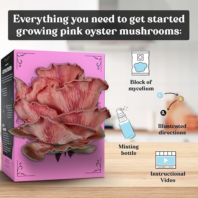 Pink Oyster Mushroom Grow Kit (4lbs) | USDA Certified Organic | Grow Your Own Delicious Gourmet Mushrooms at Home