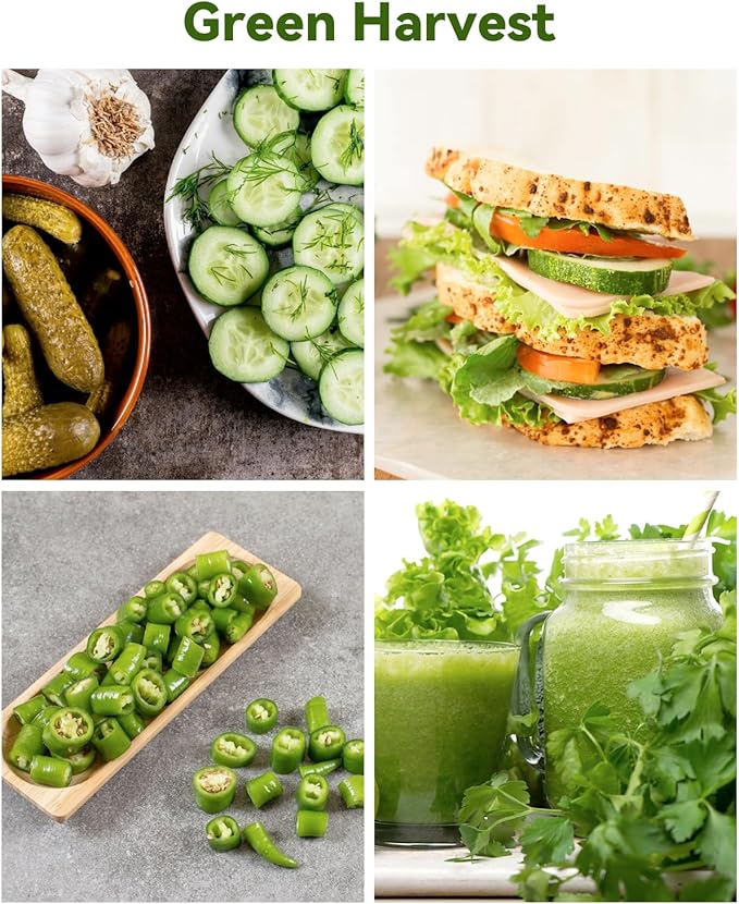 LYKOCLEAN Vegetable & Salad Green Seed Pod Kit for Aerogarden, Ahopegarden, iDOO (24 Pods) – Non-GMO American Fast Lettuce, Green Pepper, Cucumber, Parsley Seeds, Compatible with All Hydroponic System