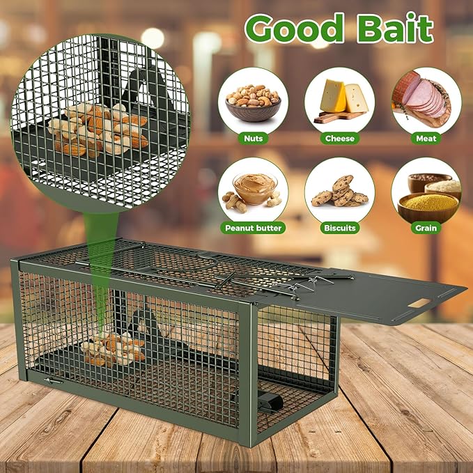 2 PCS Humane Mouse Rat Traps, Mice Chipmunk Squirrel Traps, and Other Live Animal Cage Catch and Release for Indoor and Outdoor-Green