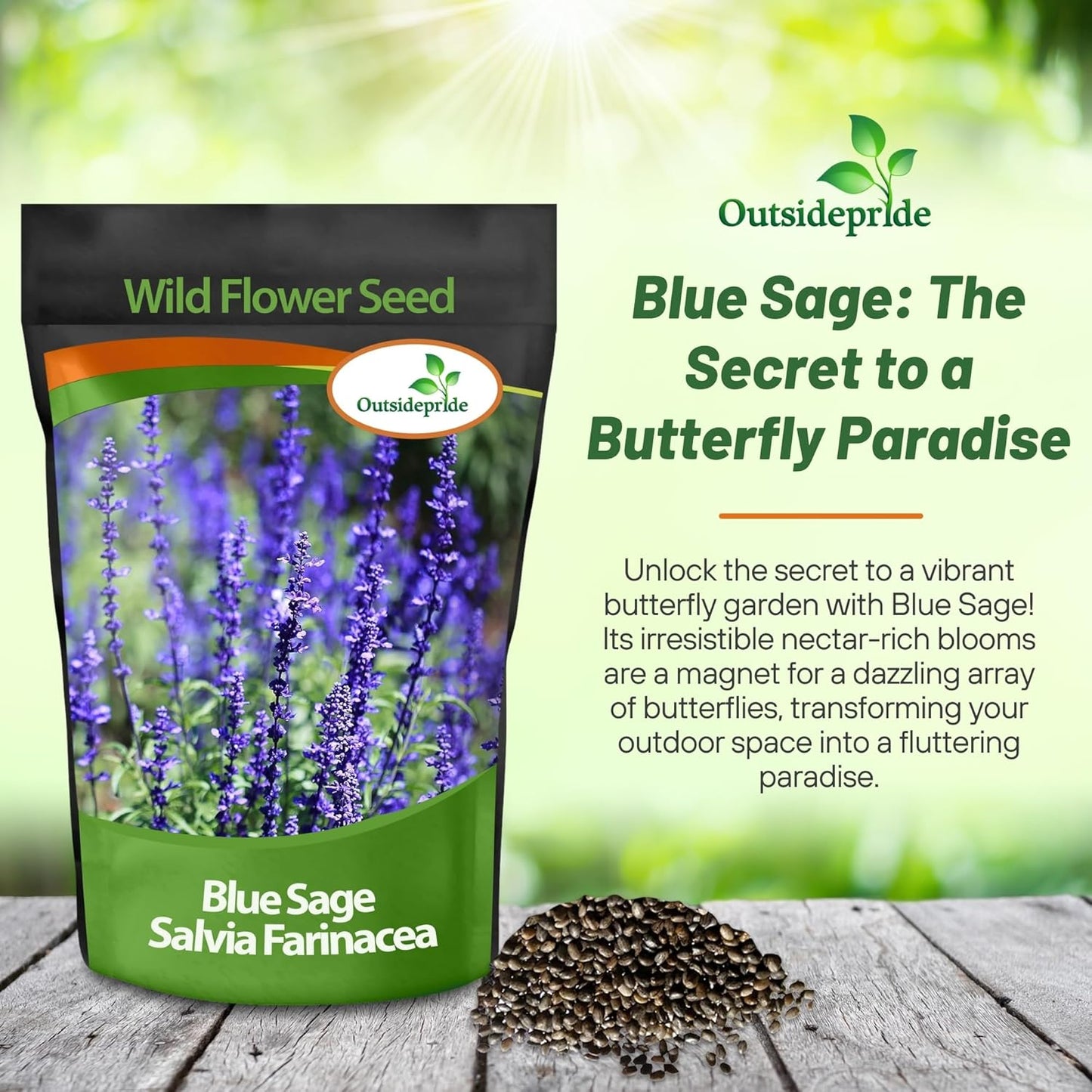 Outsidepride Blue Sage Seeds - 1/2 Lb. Perennial, Drought-Tolerant & Deer-Resistant Wildflower Seeds w/Fragrant Blooms for Pollinator Attractant for Butterfly & Hummingbird Gardens & Landscaping