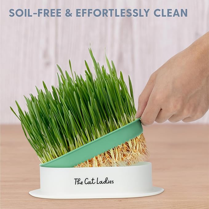The Cat Ladies Hydroponic Cat Grass Growing Kit - Pet Grass Seed for Indoor Cats - Fast Growing Soil Free Catnip Plant Seeds to Grow Kitten Safe Plants - Just Add Water