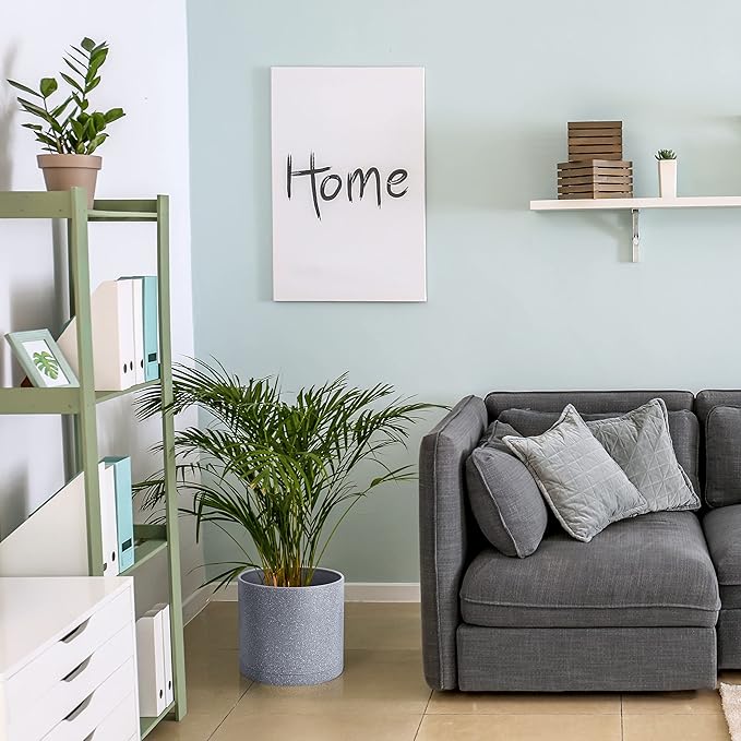 D'vine Dev 10 Inch Plastic Planter Pots for Plant Pot with Drainage Hole and Seamless Saucers, Speckled Gray Color, 74-X-G-2