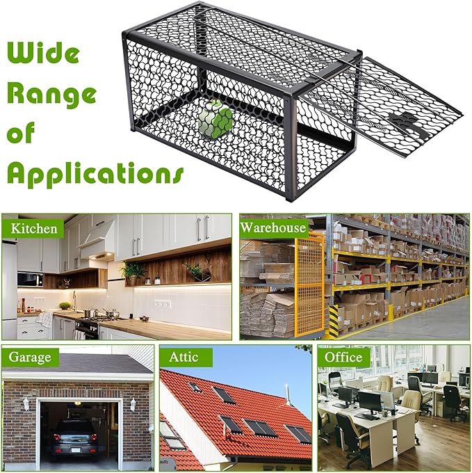 Qualirey 2 Pcs Humane Rat Trap Chipmunk Rodent Mouse Squirrel Trap 11 x 6 x 6 Inches Live Animal Mouse Voles Hamsters Live Cage Rat Cage for Mice Easy to Catch and Release, Black