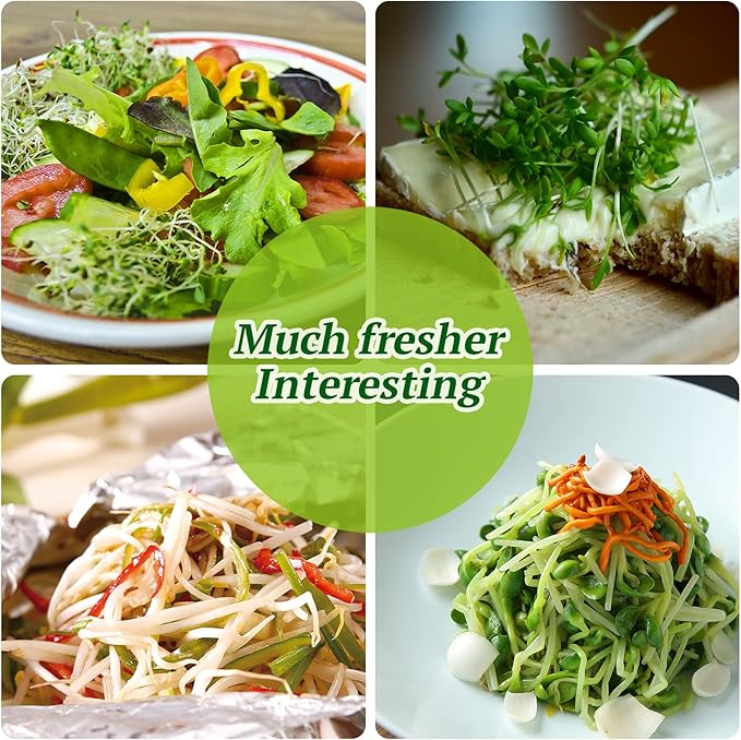 Premium Sprouting Jar Kit 2Pcs Large Wide Mouth Mason Jars With Screen Sprout Lid,Sprouting Jar Stand,Tray,Blackout Sleeves,-Seed Sprouting Kit For Growing Mung beans,Broccoli