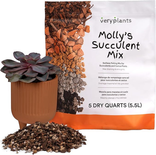 Molly's Succulent Mix - Premium Gritty Soilless Potting Mix for Succulents, Cactus and Bonsai - Contains Akadama, Hyuga, Bark Fines, Pumice, Lava Rock, Mycorrhizae 5.5 Liters