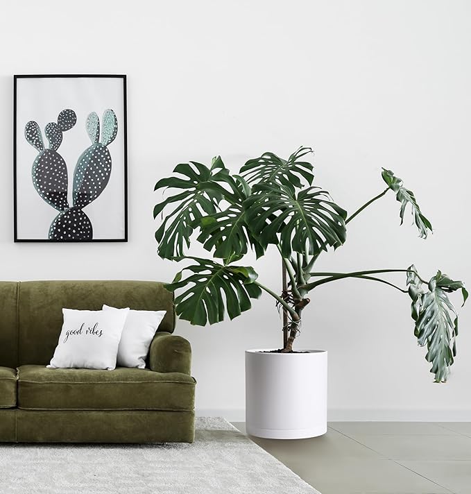 D'vine Dev 2 Pack 14 Inch Modern Plastic Plant Pots, Cylindrical Garden Planters for Plants with Drainage Holes and Saucers, White, 74-Z-Q-1