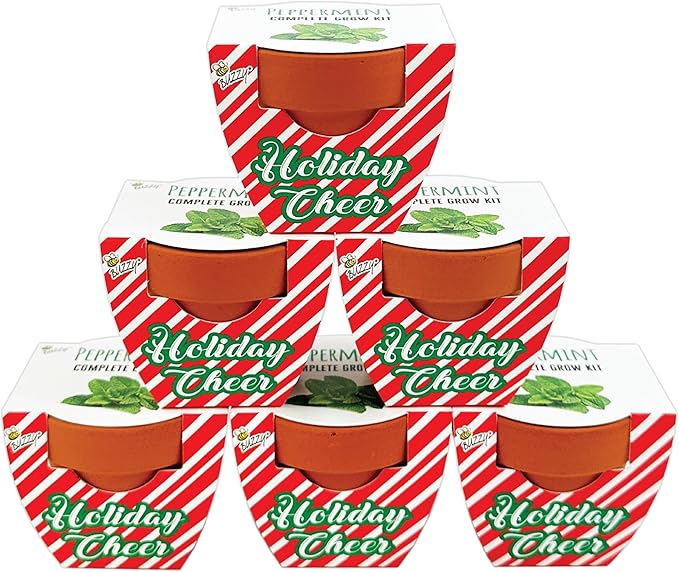 BUZZY Seeds Terracotta Holiday Mini Grow Pot Candy Cane | Peppermint 6-Pack | Herb, Plant Starter Kit for Kids & Adults | Guaranteed to Grow | Best Indoor Gardening Gifts, Favors, Stocking Stuffers