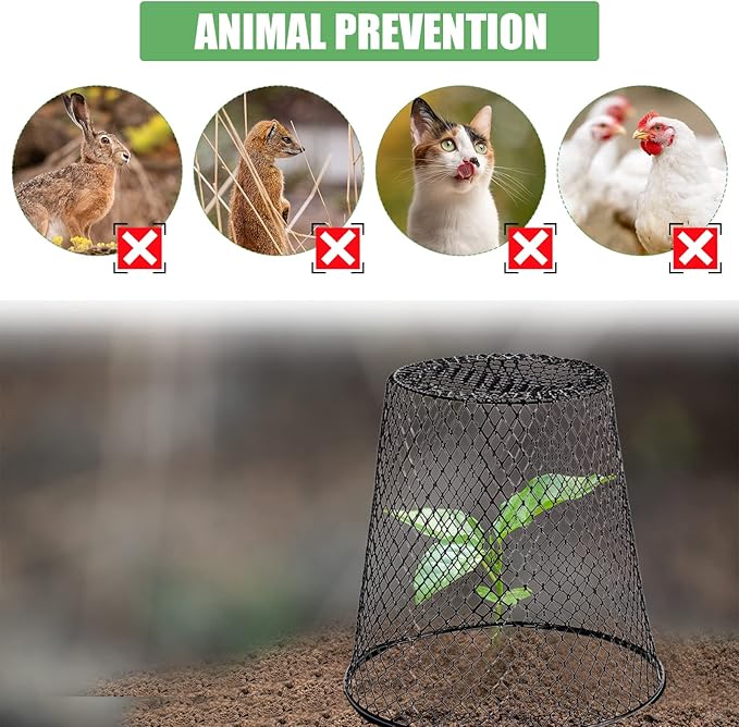 10 Pcs 8inch Chicken Wire Plant Covers Wire Garden Cloches Chicken Wire Cloche Plant Protector Metal Heavy Duty Garden Plant Cloche for Keeping Bunnies Chicken Squirrels Birds Other Out