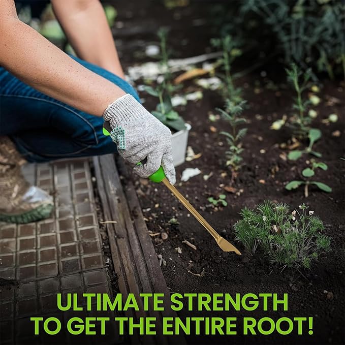 Garden Guru Titanium Dandelion Weeder Tool - Rust Resistant - Ergonomic Handle - Weed Puller for Planting, Weeding, Flower and Vegetable Care in Lawn Garden Yard