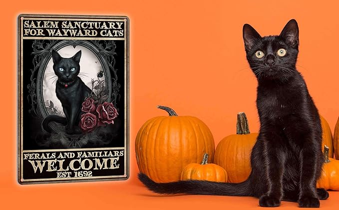 Vintage Halloween Decorations Indoor Black Cat Wall Art Witchy Room Decor Home Bedroom Halloween Decor Black Cat Signs 8x12 Inch