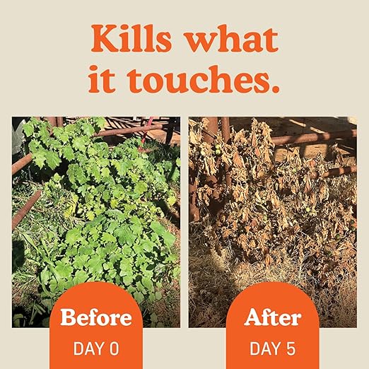 FireHawk™ Bioherbicide Concentrate 16 oz | Fast‑Acting Alternative Weed Killer | Soil‑Friendly Formula | Makes Up to 2.5+ gallons for Broad‑Spectrum Control