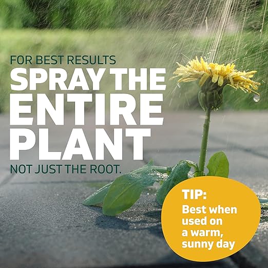 Spruce Weed Killer Spray - Snap & Spray Weed & Grass Killer₂ Powered Starter Kit - Reusable Sprayer with Wand for Spot-Treating Driveways, Gardens & More (64 Oz Bottle)