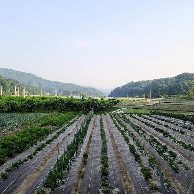 5ft x 100ft Durable Weed Barrier Fabric, 3.2oz Heavy-Duty Landscaping Fabric, Permeable Ground Cover for Garden, Lawn, and Outdoor Projects, Easy to Install, with 30 Staples