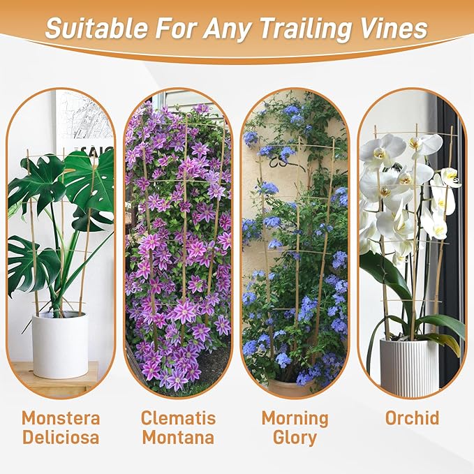 10 Pack 2ft Bamboo Trellis for Climbing Plants-Natural Garden Ladder Trellis, Fan -Shaped Support Trellis for Potted Plant Decor in Door