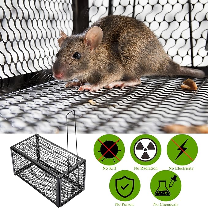 Qualirey 2 Pcs Humane Rat Trap Chipmunk Rodent Mouse Squirrel Trap 11 x 6 x 6 Inches Live Animal Mouse Voles Hamsters Live Cage Rat Cage for Mice Easy to Catch and Release, Black