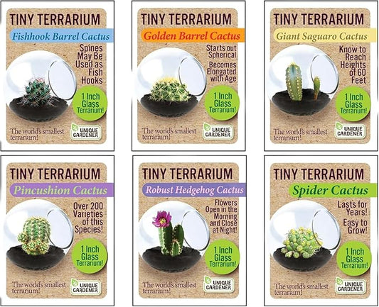 Tiny Terrarium Plant Seeds 6 Variety Cacti Pack, DIY Indoor Succulents and Live Plants for Home or Garden Planting, Assorted Cacti Pack