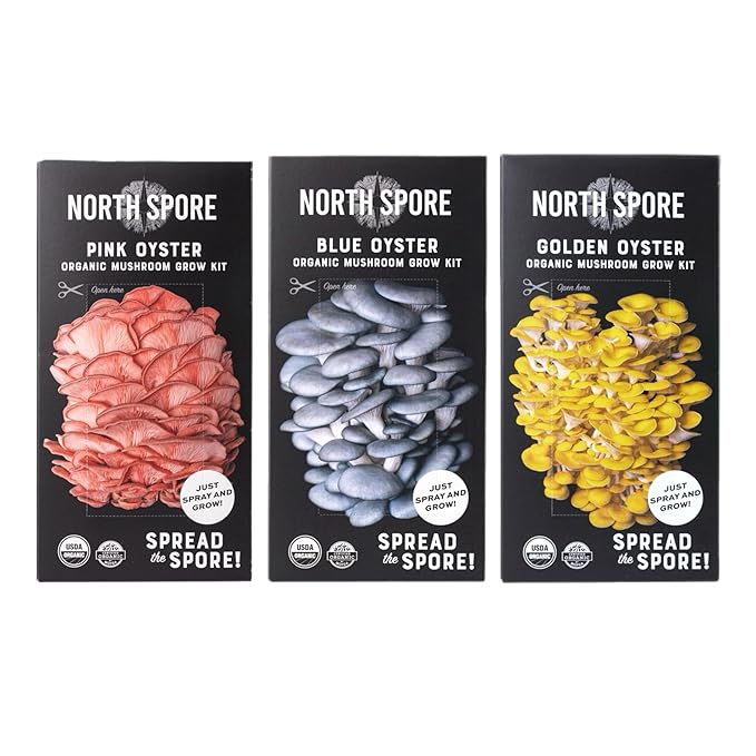 (3-Pack) North Spore Organic Blue, Pink, and Golden Oyster Mushroom Spray & Grow Kits (4 lbs each) | USDA-Certified Organic, Non-GMO, Beginner-Friendly & Easy to Use | Handmade in Maine, USA
