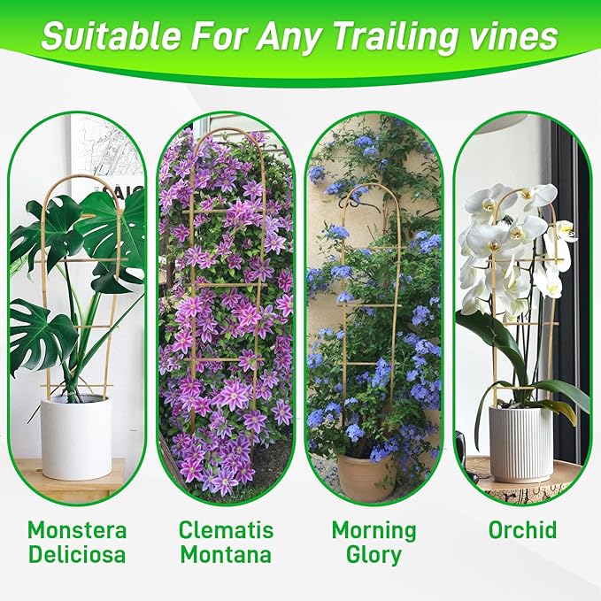 10 Pack 15.7“ U-Shape Bamboo Trellis for Climbing Plants, Natural Garden Trellis for Tomatoes, Cucumbers, Potted Plants, Vegetables Indoor Outdoor