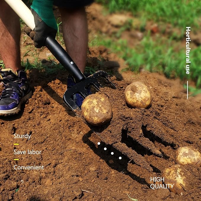 Garden Fork, 4-Tine Spading Digging Fork, Pitch Fork-45Inch, Forged Steel Y-Grip, Wood Handel