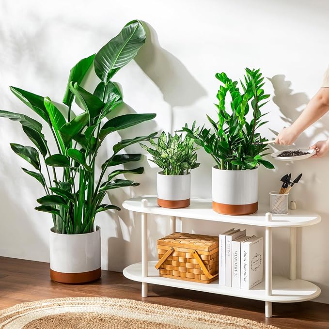 vancasso 6"+8"+10" Ceramic Pot for Plants, Large Outdoor Indoor Planter Pots with Drainage Holes, Set of 3, Khaki