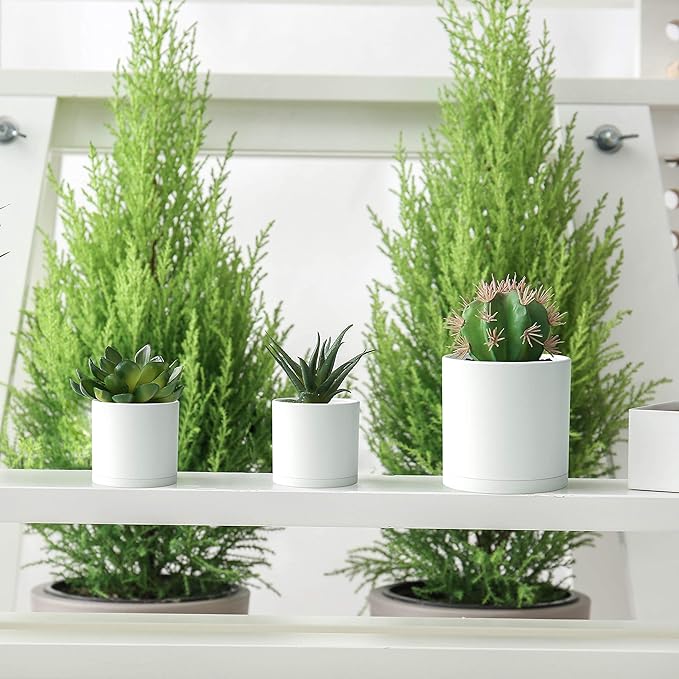 D'vine Dev 4 Inch 5 Inch 6 Inch, Set of 3 Plastic Planter Pots for Plants with Drainage Hole and Seamless Saucers, White Color, Small, 74-V-A-1