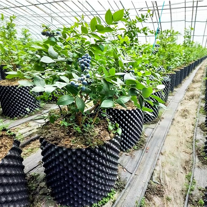 14 Gallon Air Pruning Planters, Plastic Pots for Plants, Large Plant Pots, Fruit Vegetable Garden Self-Planting Planters, Size 16"x16", Black, 5P