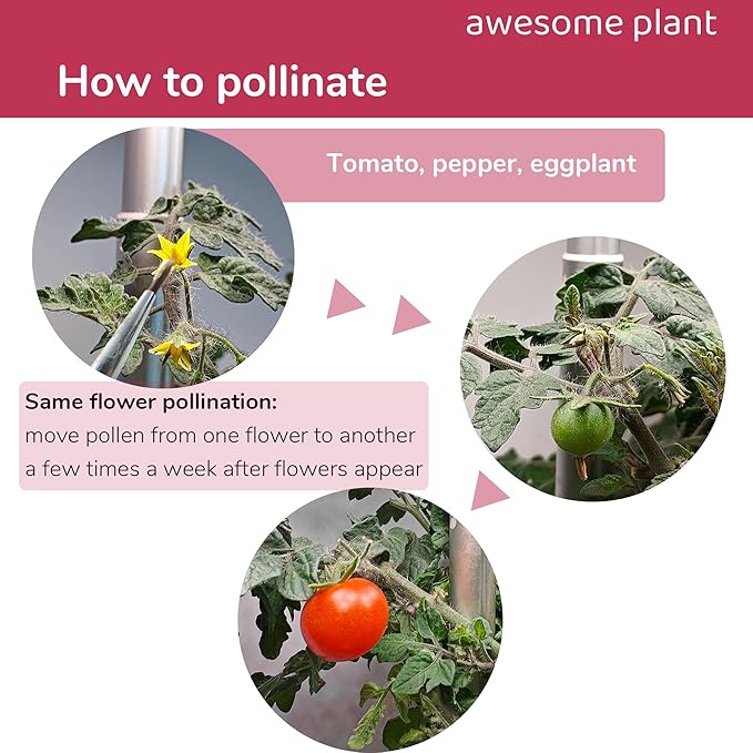 12 Pcs Pollination Brush for Indoor Hydroponic Gardens, Pollinator Tool for Aerogarden Ahopegarden and all Hydroponics Growing System Kit, Use on Tomatoes, Peppers, Strawberries and More