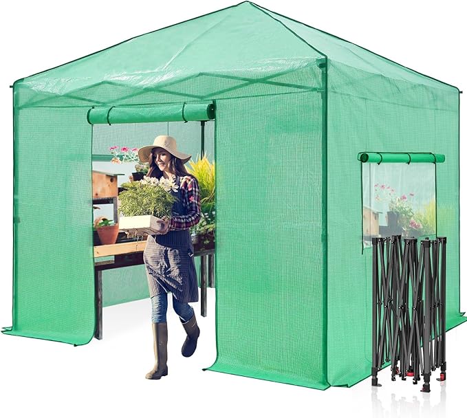 EAGLE PEAK Instant Pop-up Greenhouse, Indoor Outdoor Plant Gardening Green House, Roll-Up Zipper Doors and Side Windows, Walk in 10x10 ft, Green/Clear