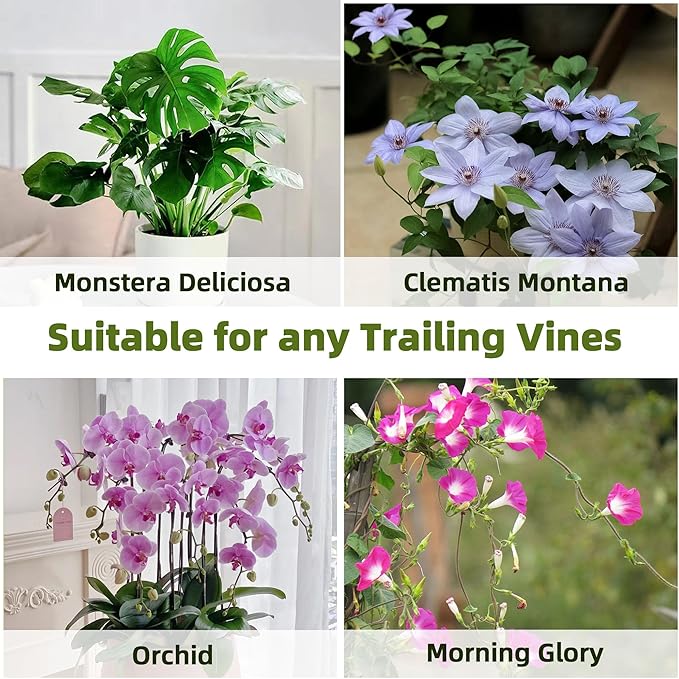 Avalution 5 Pack Bamboo Trellis for Climbing Plants Indoor, 16 Inch Garden Ladder Trellis for Potted Plants, Fan-Shaped Small Plant Support Trellis for Houseplants Ivy Hoya Vine Monstera