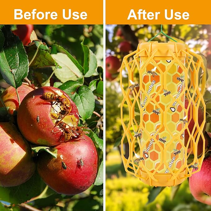2 Pack Upgraded Wasp Trap Outdoor Hanging, Carpenter Bee and Hornet Catcher, Reusable Yellow Jacket Trap with Bait Reservoir, Bee Killer and Wasp Catcher for Outside (Orange)