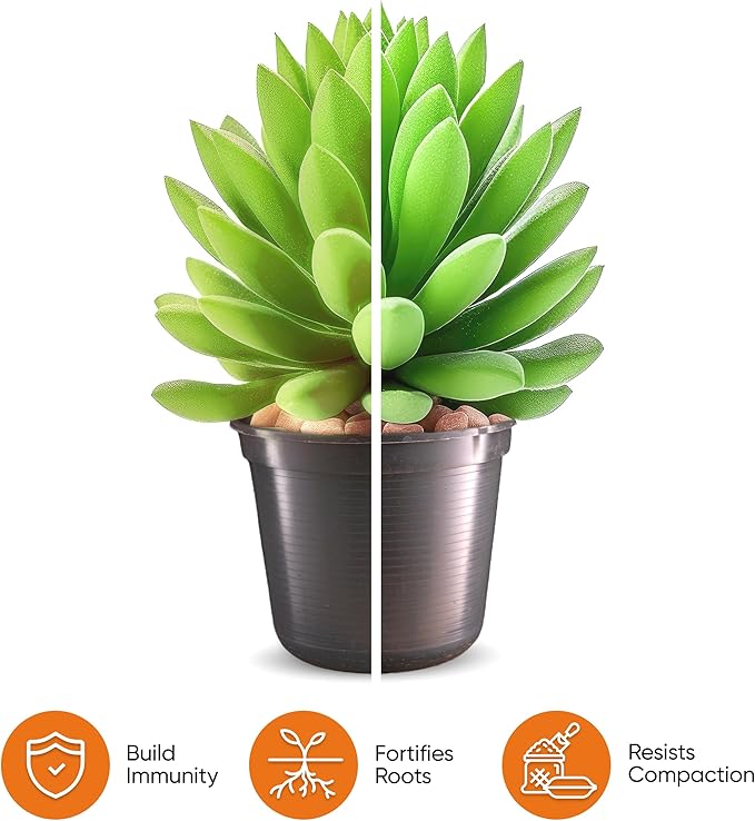 Molly's Succulent Mix - Premium Gritty Soilless Potting Mix for Succulents, Cactus and Bonsai - Contains Akadama, Hyuga, Bark Fines, Pumice, Lava Rock, Mycorrhizae 3 Dry Quarts