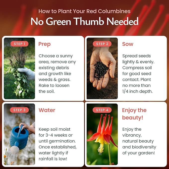 Created By Nature Red Columbine Flower Seeds, 1,450 Seeds, Perennial Wildflowers