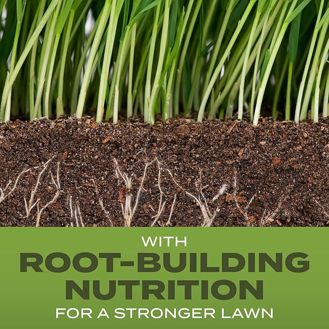 Scotts Turf Builder Grass Seed Tall Fescue Mix with Fertilizer and Soil Improver, Resists Harsh Conditions, 16 lbs.