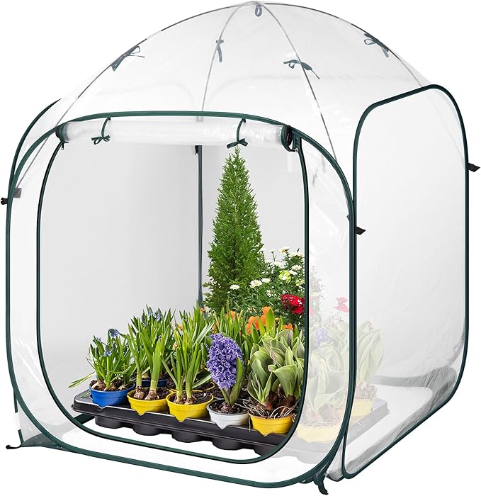 VIVOSUN 49x49x63-Inch Portable Walk-in Greenhouse, with PVC Cover & Detachable Base, Instant Pop-up and Folding, Mini Greenhouse with Roll-Up Door & Mesh Window for Indoor Outdoor, Wind Ropes Included