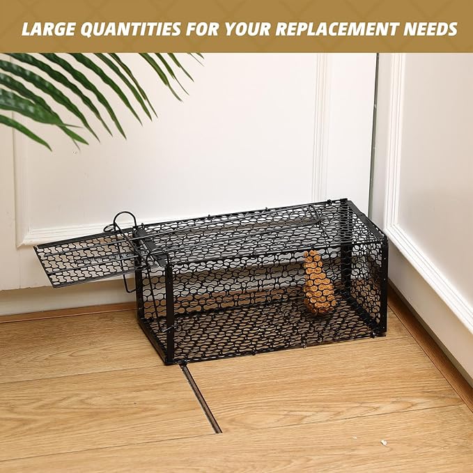 Qualirey 6 Pcs Humane Rat Trap Small Chipmunk Mouse Squirrel Cage Rodent Animal Mice Voles Hamsters Cage Catch and Release Trap for Home Garden Indoor Outdoor(10.6 x 5 x 5 Inch)