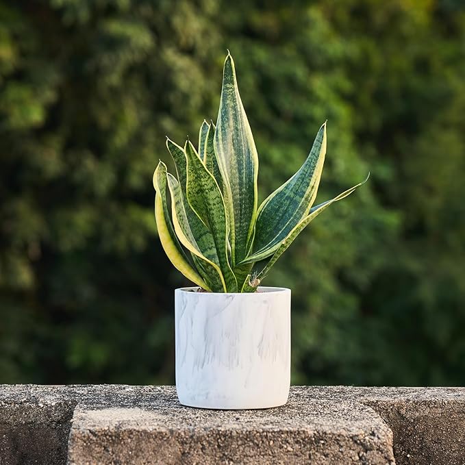 Ekirlin 6 Inch Resin Plant Pot Indoor - Natural Marble Texture Garden Planter with Drainage Hole, Removable Rubber Stopper and Non-Slip Soft Pad, Modern Succulents Containers for Home, Outdoor