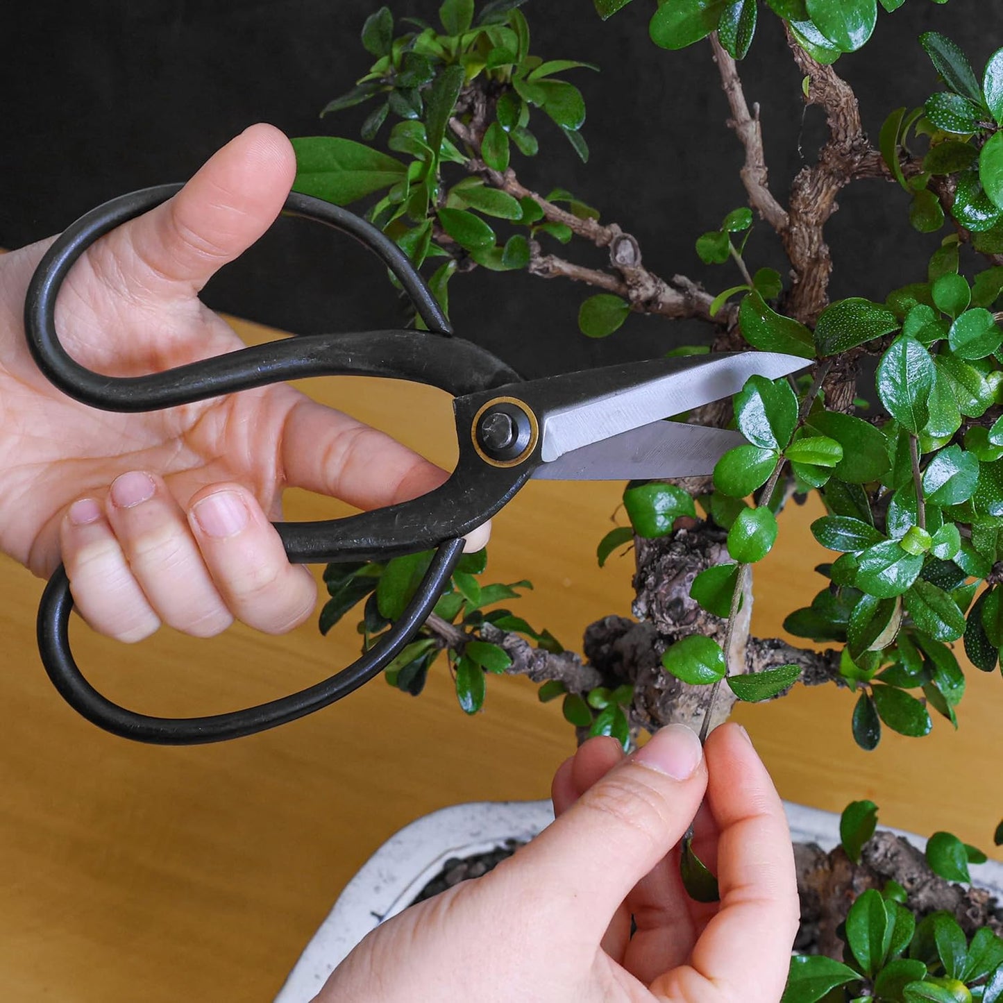 Professional Bonsai Butterfly Scissors | Pruning Shears for Trimming Plants | Japanese Gardening, Bonsai Tools | Garden Scissors