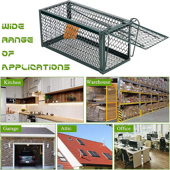 Qualirey 4 Pcs Humane Rat Trap Chipmunk Rodent Mouse Squirrel Trap Small Live Animal Mouse Voles Hamsters Live Cage Rat Cage for Mice Easy to Catch and Release (Green)